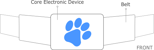 Belt front. In the buckle you have the electronic brain of the device.