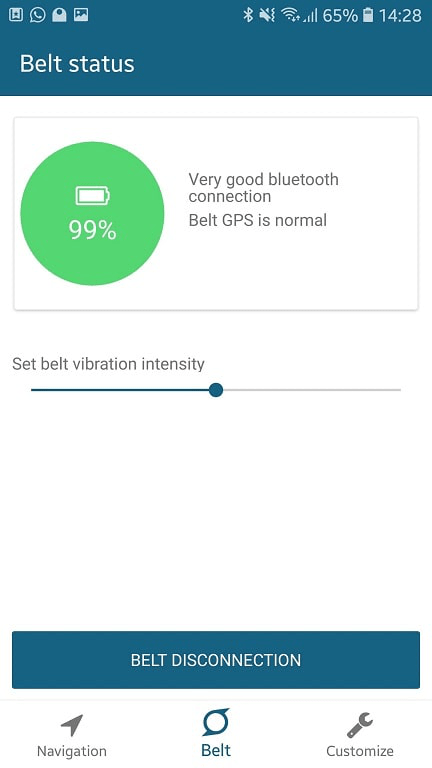 Screenshot Android app, belt status